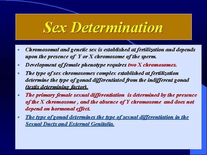 Sex Determination § § § Chromosomal and genetic sex is established at fertilization and