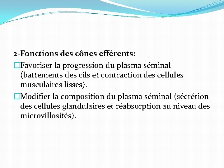 2 -Fonctions des cônes efférents: �Favoriser la progression du plasma séminal (battements des cils