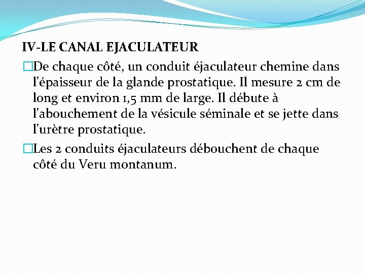 IV-LE CANAL EJACULATEUR �De chaque côté, un conduit éjaculateur chemine dans l'épaisseur de la
