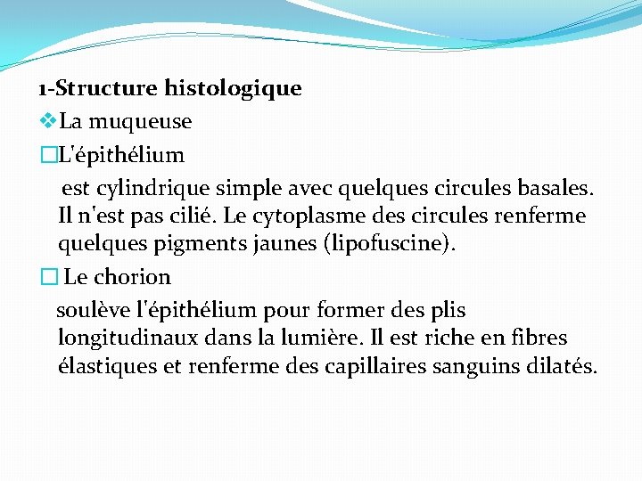 1 -Structure histologique v. La muqueuse �L'épithélium est cylindrique simple avec quelques circules basales.