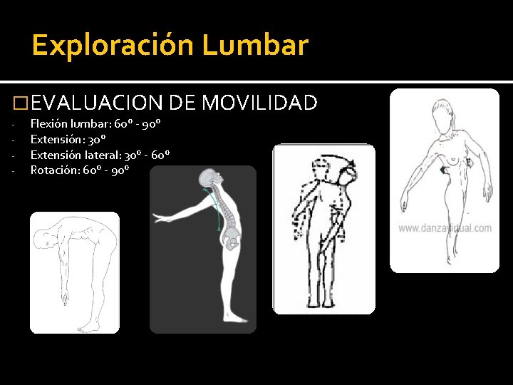 Exploración Lumbar �EVALUACION DE MOVILIDAD - Flexión lumbar: 60° - 90° Extensión: 30° Extensión Exploración Lumbar �EVALUACION DE MOVILIDAD - Flexión lumbar: 60° - 90° Extensión: 30° Extensión
