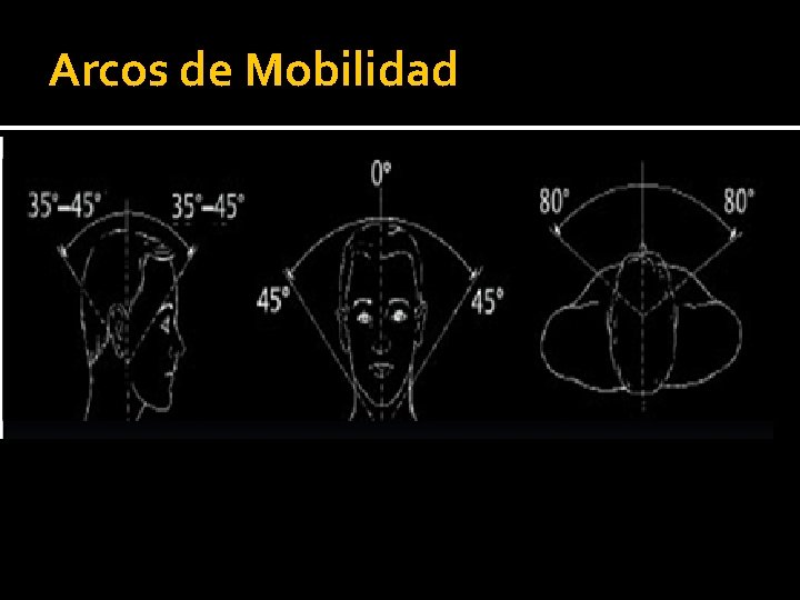 Arcos de Mobilidad Arcos de Mobilidad