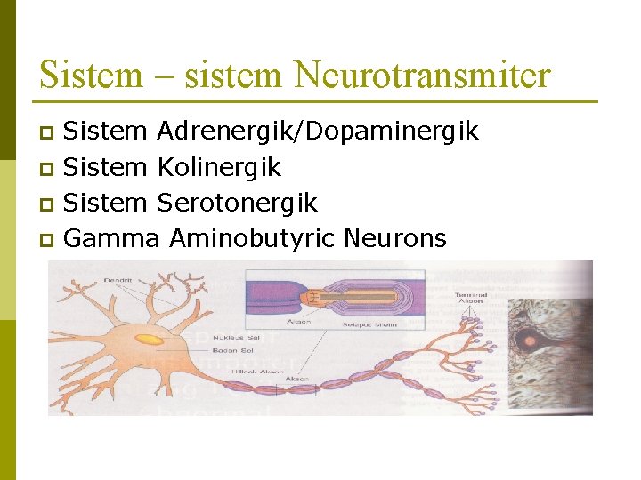 Sistem – sistem Neurotransmiter Sistem Adrenergik/Dopaminergik p Sistem Kolinergik p Sistem Serotonergik p Gamma