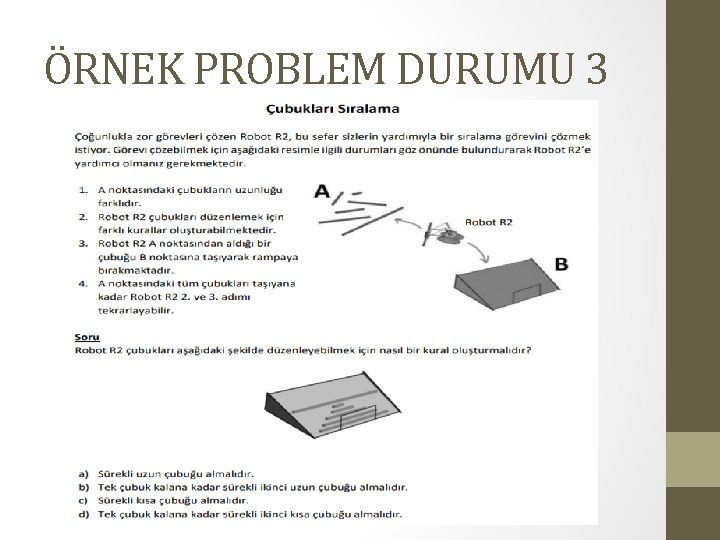 ÖRNEK PROBLEM DURUMU 3 