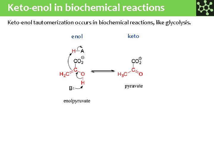 Keto-enol in biochemical reactions Keto-enol tautomerization occurs in biochemical reactions, like glycolysis. enol keto