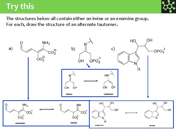 Try this The structures below all contain either an imine or an enamine group.