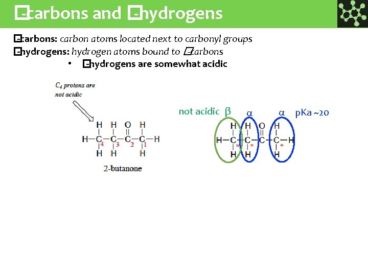 � -carbons and � -hydrogens � -carbons: carbon atoms located next to carbonyl groups