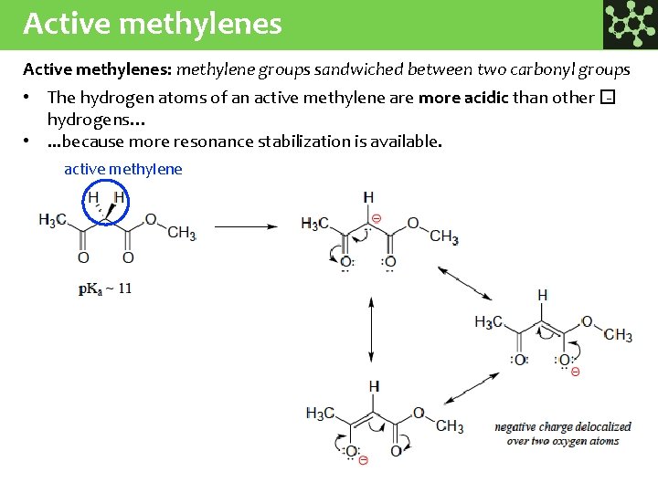 Active methylenes: methylene groups sandwiched between two carbonyl groups • The hydrogen atoms of