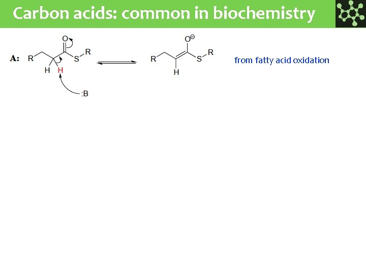 Carbon acids: common in biochemistry from fatty acid oxidation from carbohydrate metabolism 