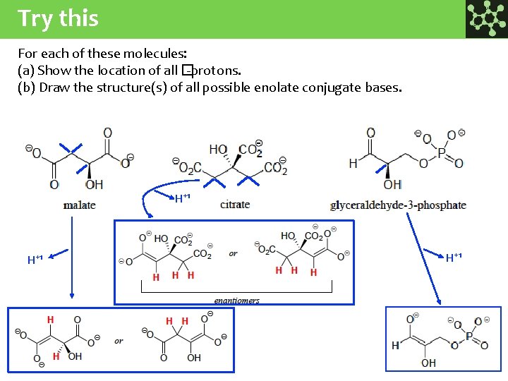 Try this For each of these molecules: (a) Show the location of all �