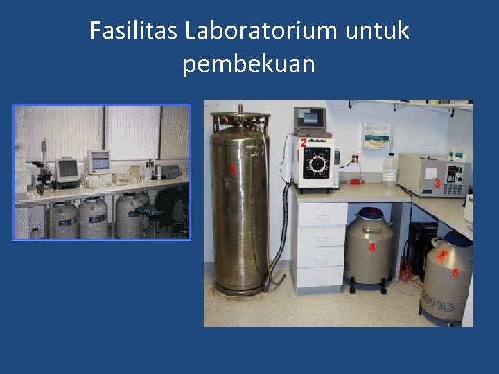 Fasilitas Laboratorium untuk pembekuan 