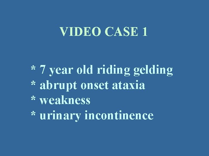 VIDEO CASE 1 * 7 year old riding gelding * abrupt onset ataxia *