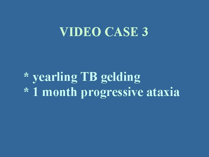 VIDEO CASE 3 * yearling TB gelding * 1 month progressive ataxia 