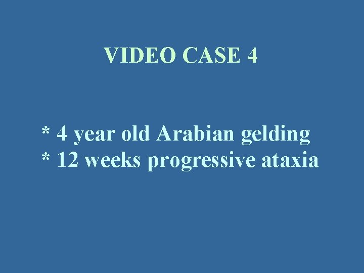 VIDEO CASE 4 * 4 year old Arabian gelding * 12 weeks progressive ataxia