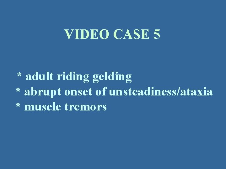 VIDEO CASE 5 * adult riding gelding * abrupt onset of unsteadiness/ataxia * muscle