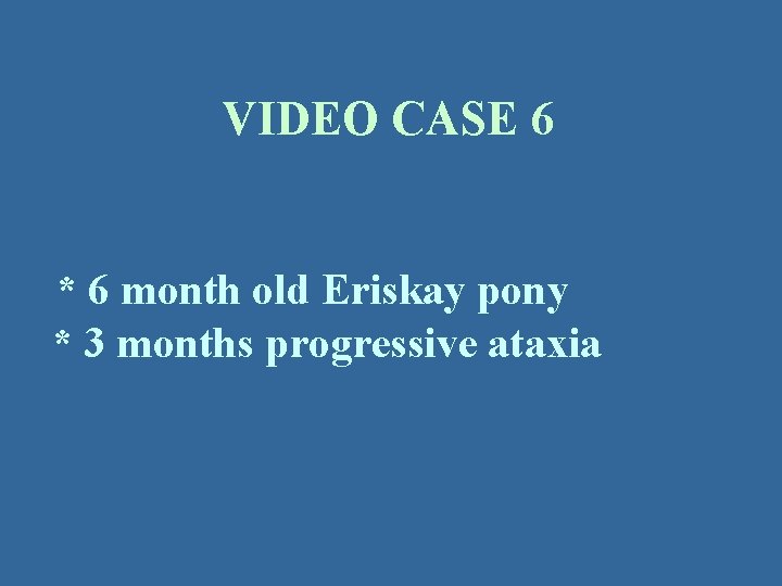 VIDEO CASE 6 * 6 month old Eriskay pony * 3 months progressive ataxia