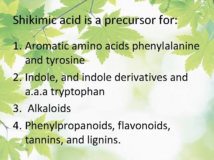 Shikimic acid is a precursor for: 1. Aromatic amino acids phenylalanine and tyrosine 2.