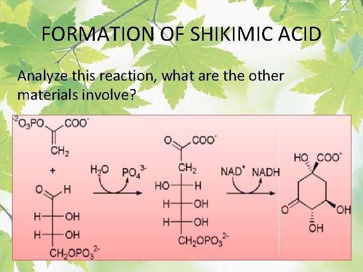 FORMATION OF SHIKIMIC ACID Analyze this reaction, what are the other materials involve? 
