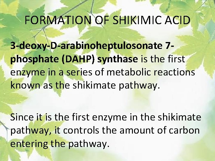 FORMATION OF SHIKIMIC ACID 3 -deoxy-D-arabinoheptulosonate 7 phosphate (DAHP) synthase is the first enzyme