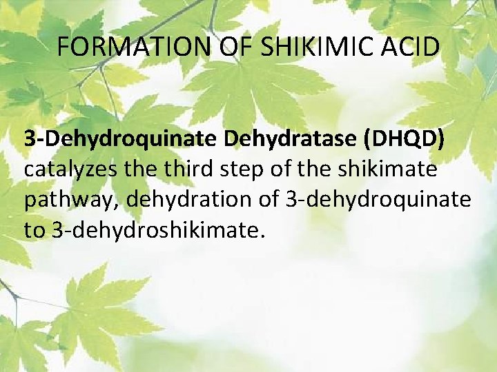FORMATION OF SHIKIMIC ACID 3 -Dehydroquinate Dehydratase (DHQD) catalyzes the third step of the