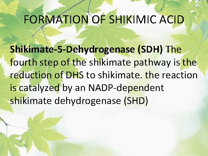 FORMATION OF SHIKIMIC ACID Shikimate-5 -Dehydrogenase (SDH) The fourth step of the shikimate pathway