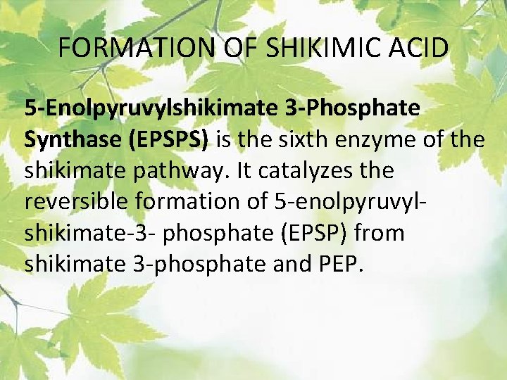 FORMATION OF SHIKIMIC ACID 5 -Enolpyruvylshikimate 3 -Phosphate Synthase (EPSPS) is the sixth enzyme