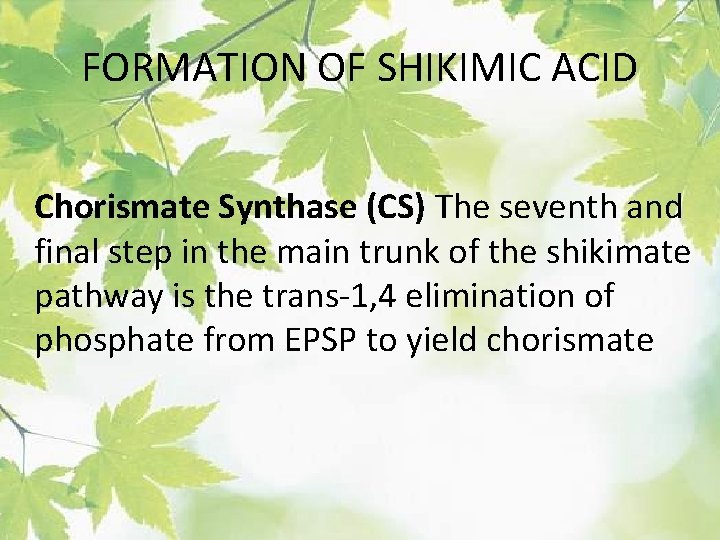 FORMATION OF SHIKIMIC ACID Chorismate Synthase (CS) The seventh and final step in the