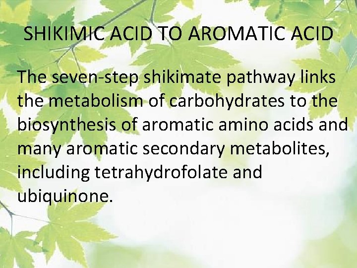 SHIKIMIC ACID TO AROMATIC ACID The seven-step shikimate pathway links the metabolism of carbohydrates
