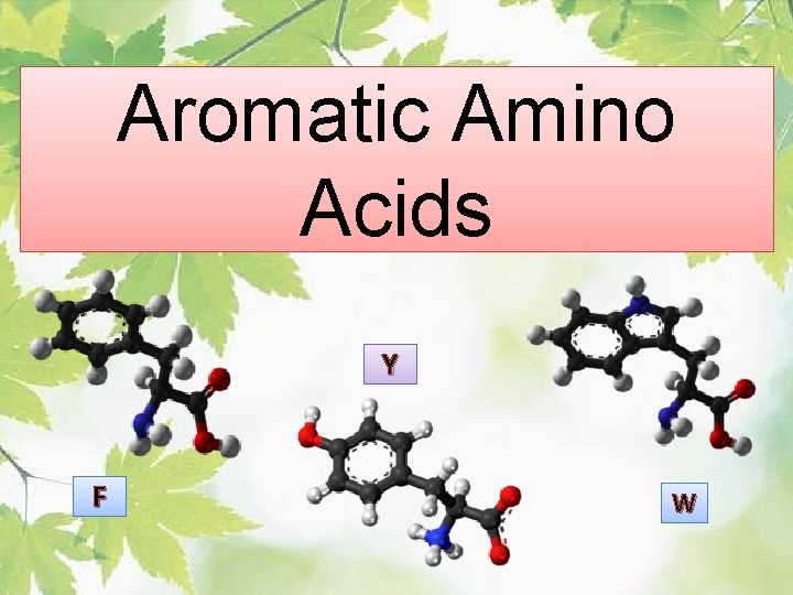 Aromatic Amino Acids Y F W 