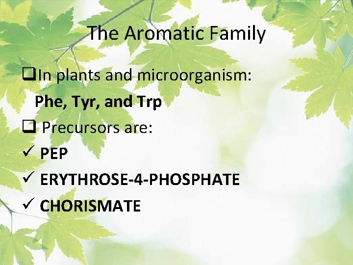 The Aromatic Family q. In plants and microorganism: Phe, Tyr, and Trp q Precursors