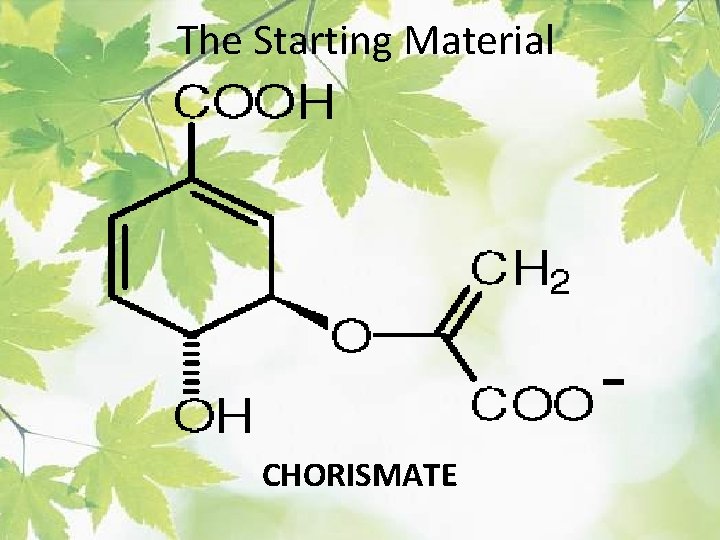 The Starting Material CHORISMATE 