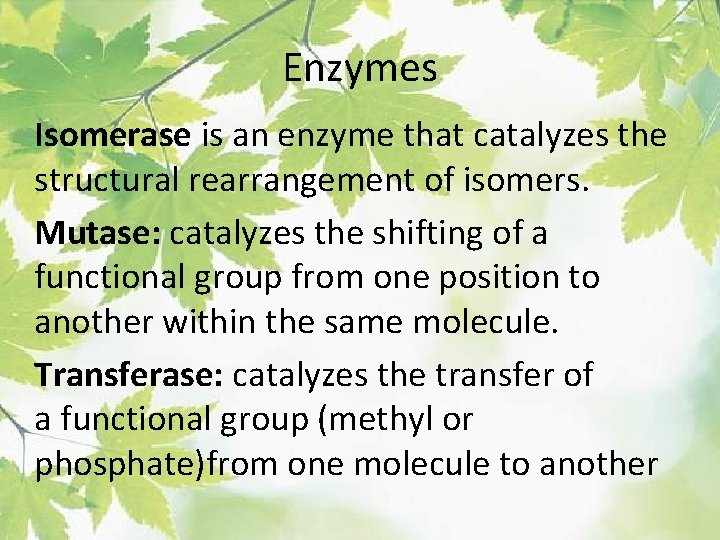Enzymes Isomerase is an enzyme that catalyzes the structural rearrangement of isomers. Mutase: catalyzes