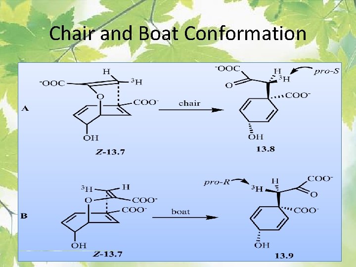 Chair and Boat Conformation 