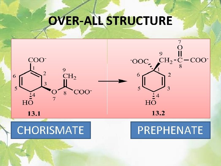 OVER-ALL STRUCTURE CHORISMATE PREPHENATE 