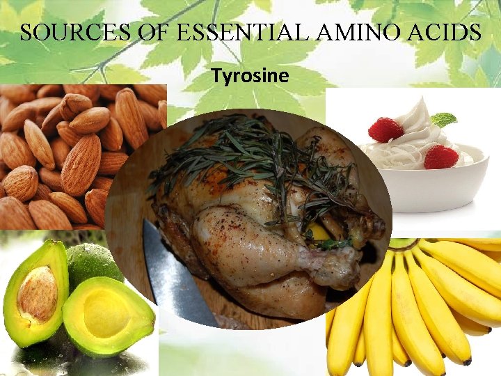 SOURCES OF ESSENTIAL AMINO ACIDS Tyrosine 