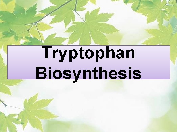 Tryptophan Biosynthesis 