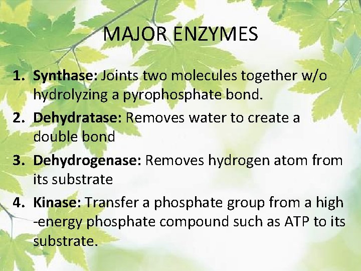 MAJOR ENZYMES 1. Synthase: Joints two molecules together w/o hydrolyzing a pyrophosphate bond. 2.