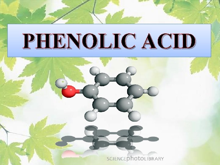 PHENOLIC ACID 