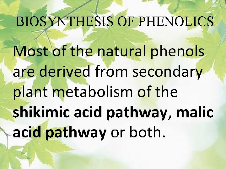 BIOSYNTHESIS OF PHENOLICS Most of the natural phenols are derived from secondary plant metabolism