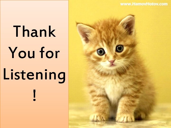 Thank You for Listening ! 
