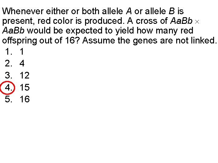 Whenever either or both allele A or allele B is present, red color is