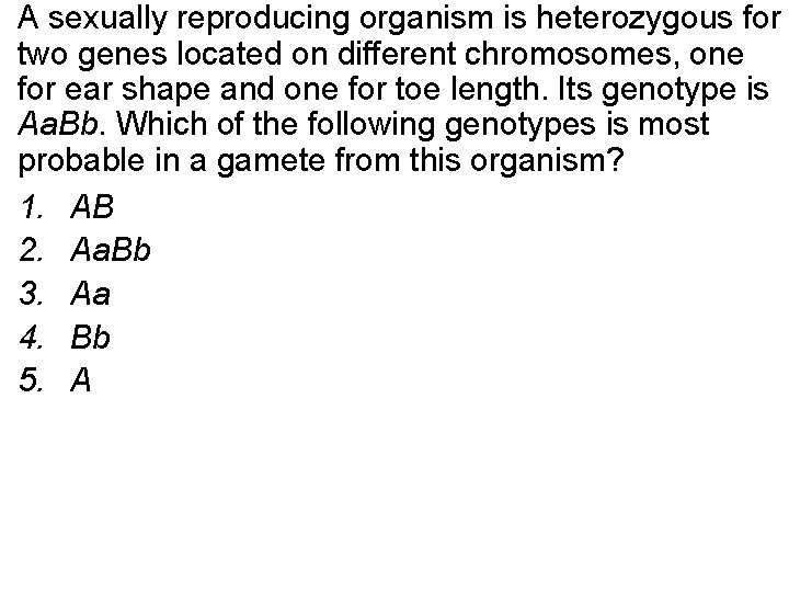 A sexually reproducing organism is heterozygous for two genes located on different chromosomes, one