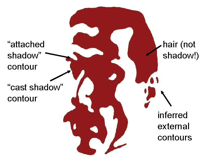 “attached shadow” contour hair (not shadow!) “cast shadow” contour inferred external contours 
