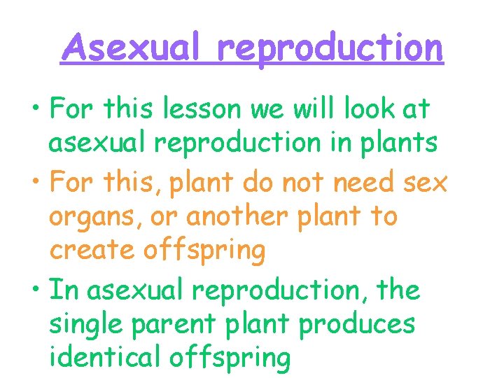 Asexual reproduction • For this lesson we will look at asexual reproduction in plants