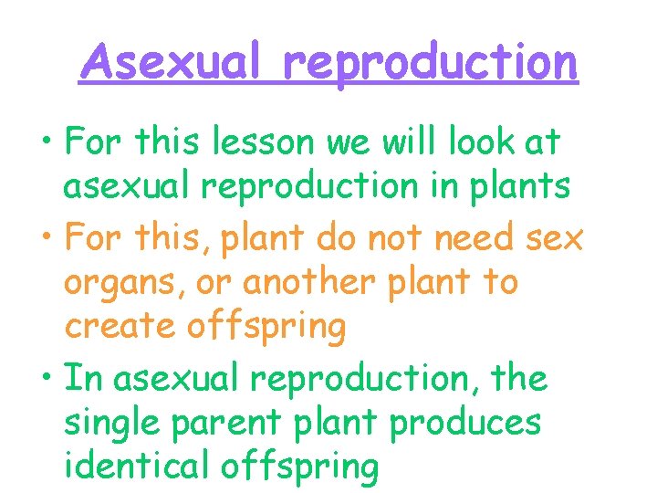 Asexual reproduction • For this lesson we will look at asexual reproduction in plants