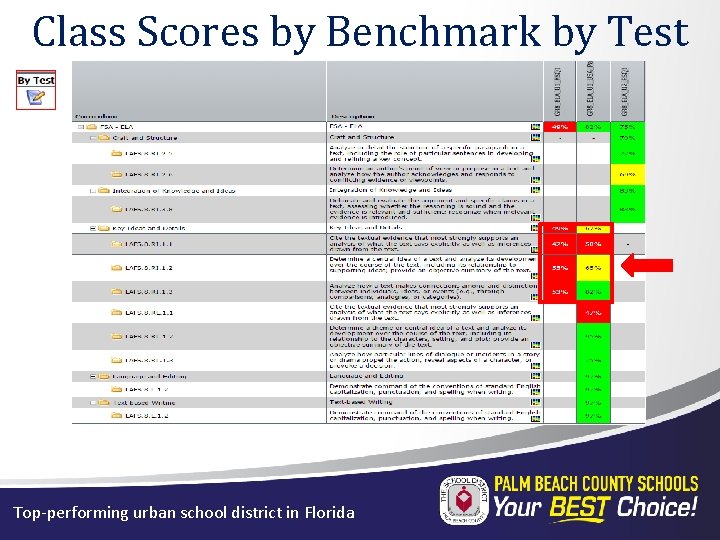 Class Scores by Benchmark by Test Top-performing urban school district in Florida 