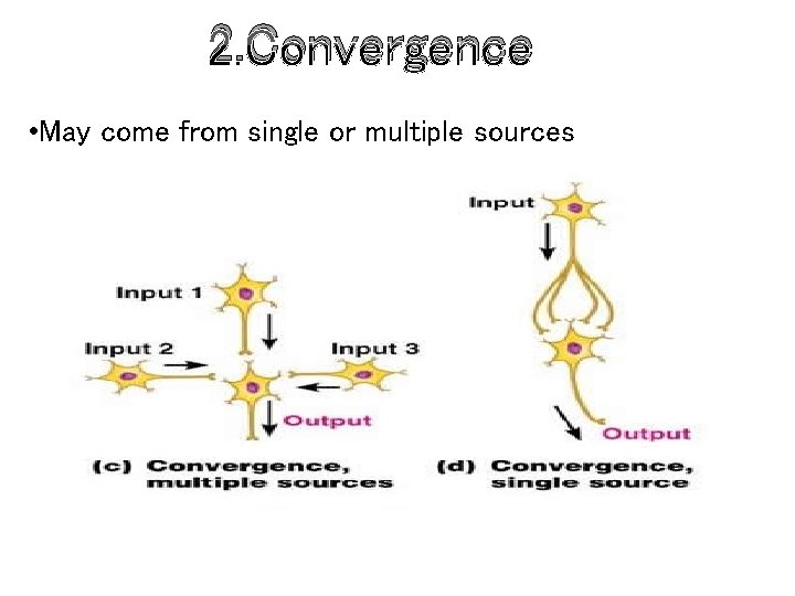 2. Convergence • May come from single or multiple sources 
