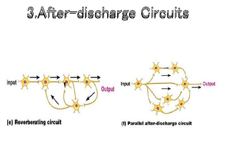 3. After-discharge Circuits 