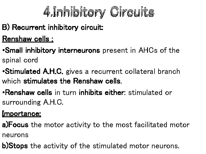 4. Inhibitory Circuits B) Recurrent inhibitory circuit: Renshaw cells : • Small inhibitory interneurons 4. Inhibitory Circuits B) Recurrent inhibitory circuit: Renshaw cells : • Small inhibitory interneurons