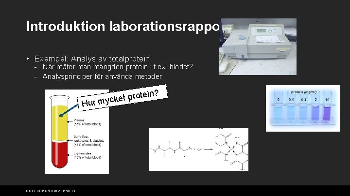 Introduktion laborationsrapport • Exempel: Analys av totalprotein - När mäter man mängden protein i
